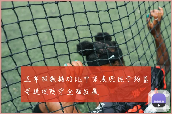 五年级数据对比申京表现优于约基奇进攻防守全面发展