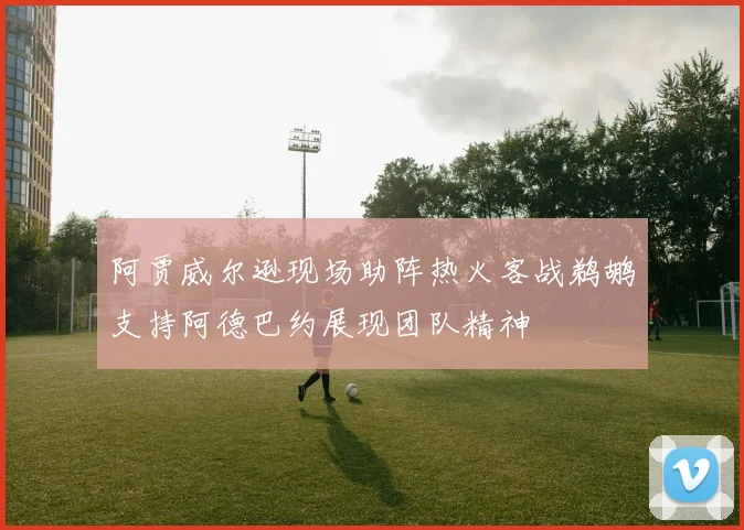阿贾威尔逊现场助阵热火客战鹈鹕支持阿德巴约展现团队精神